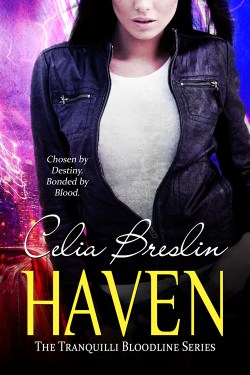 Haven book cover