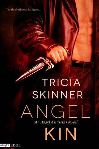 Angel Kin cover