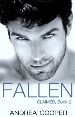 Fallen by Andrea R. Cooper book cover image