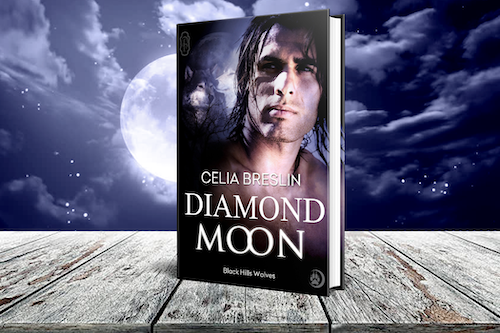 Diamond Moon book cover
