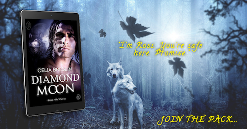 Book cover for Diamond Moon