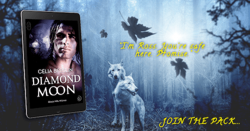 Book cover for Diamond Moon