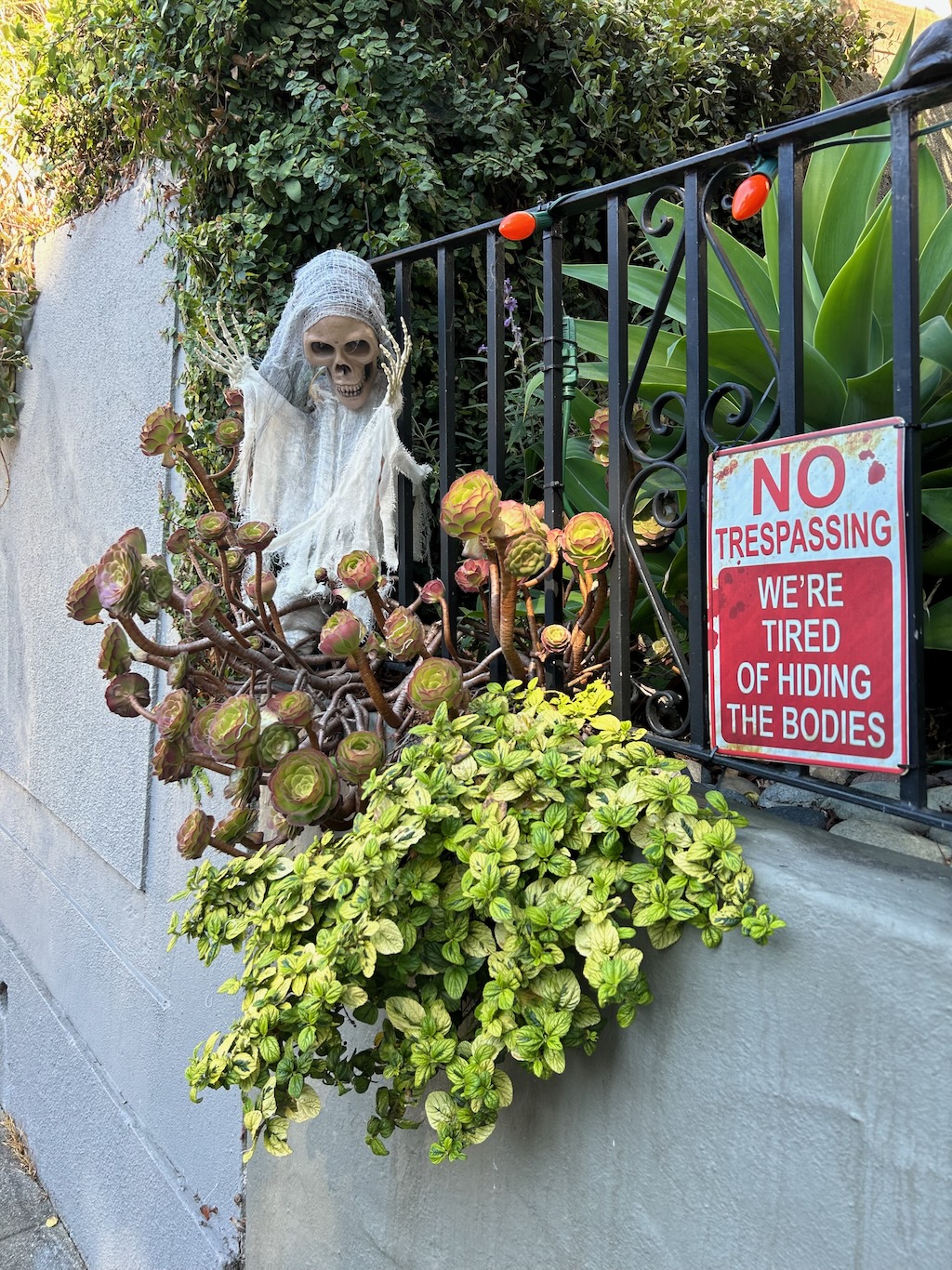 photo of halloween decoration