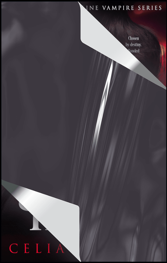 Haven by Celia Breslin book cover