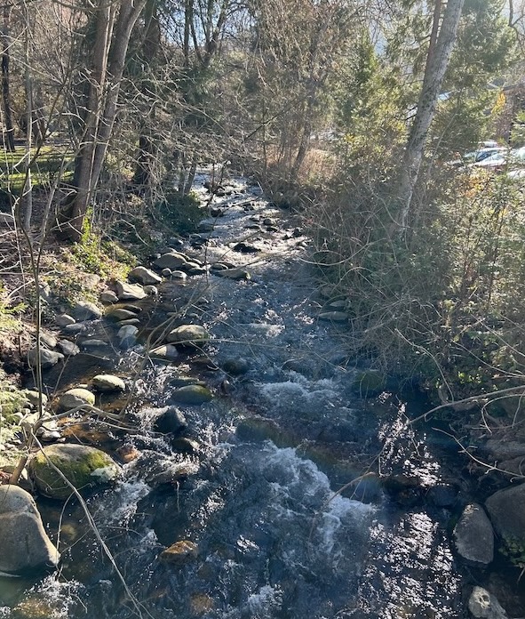 picture of Ashland Creek, Lithia Park, Ashland Oregon, USA