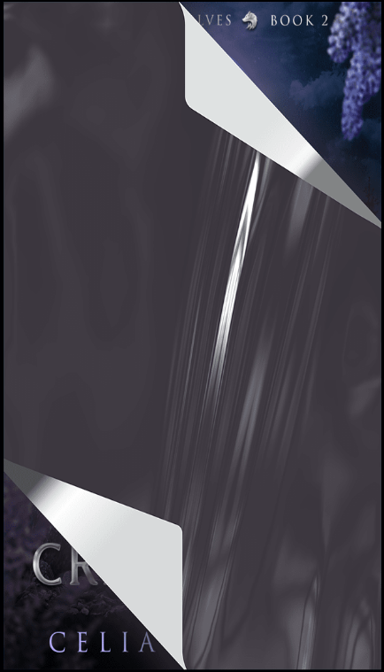 teaser BOOK COVER